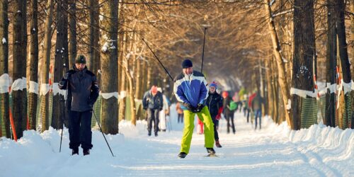 Собянин рассказал, какими зимними видами спорта можно заняться в парках Москвы — Спорт в Москве