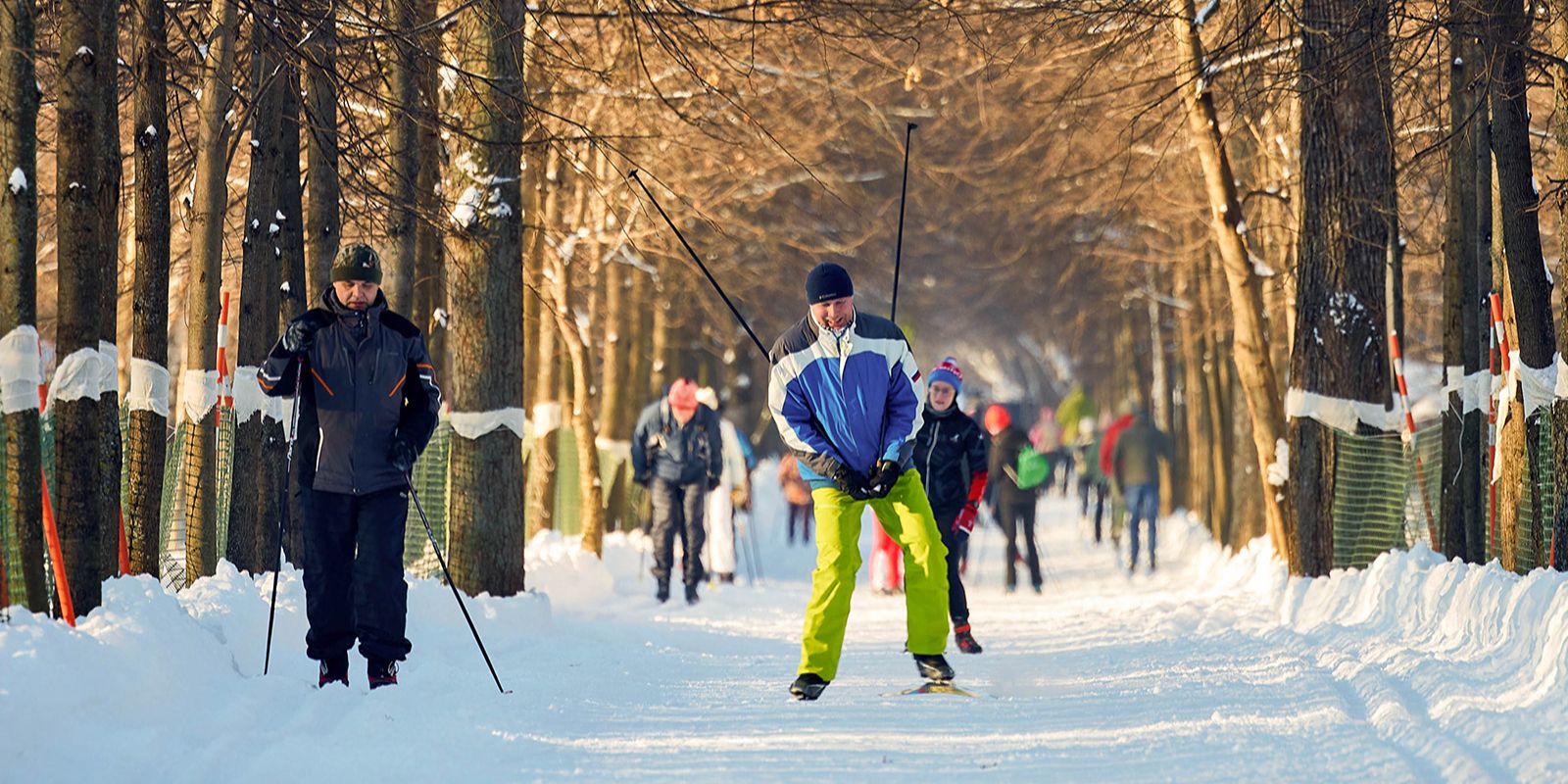 Собянин рассказал, какими зимними видами спорта можно заняться в парках Москвы
