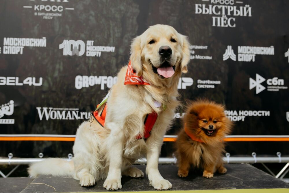 Продолжение беговой весны: в Москве пройдут кроссы «Быстрый пес» и «Лисья гора»