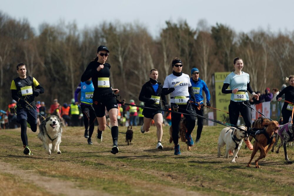 Продолжение беговой весны: в Москве пройдут кроссы «Быстрый пес» и «Лисья гора» — Спорт в Москве