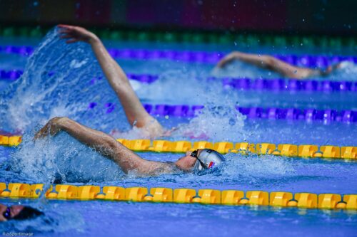 Подмосковные пловцы завоевали ещё две медали чемпионата России — Спорт в Москве