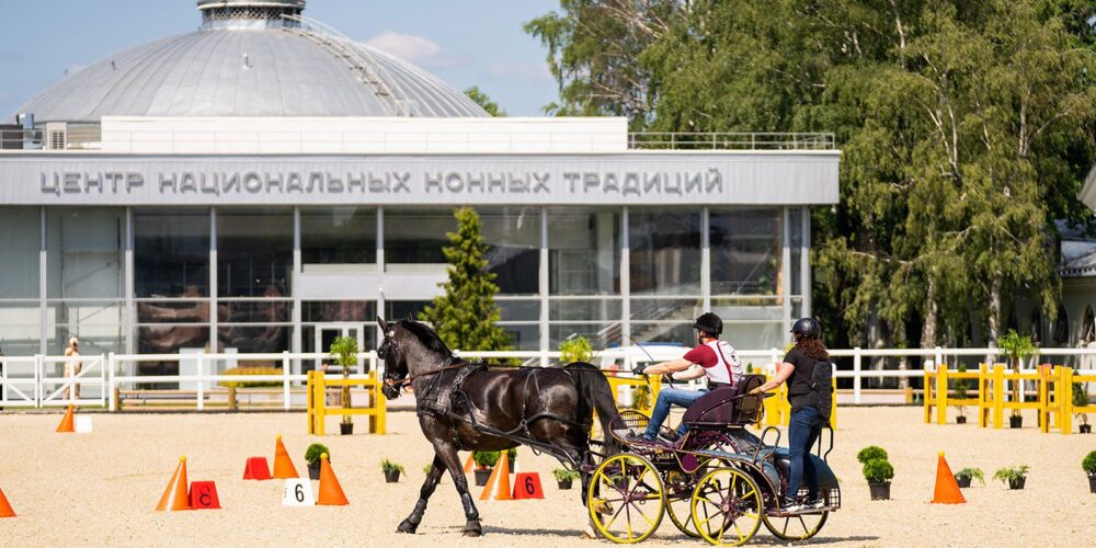 «Аллюром сквозь века»: ВДНХ приглашает на открытие летнего сезона Центра национальных конных традиций — Спорт в Москве