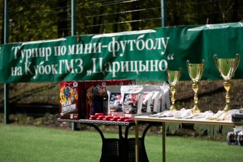 Открыли летний сезон: турнир по мини-футболу прошел в парке «Царицыно» — Спорт в Москве