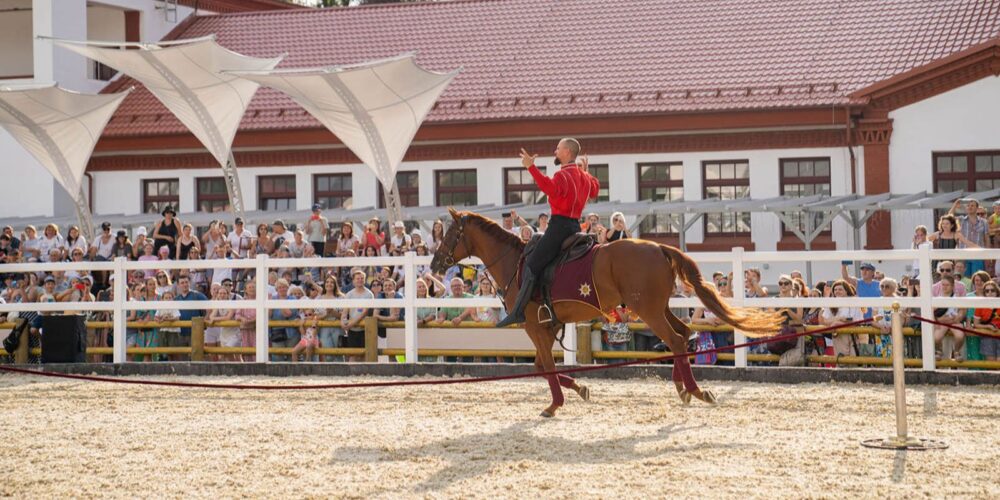 Джигитовка и конкур: ВДНХ приглашает на VIII Открытый московский фестиваль конного искусства и спорта — Спорт в Москве