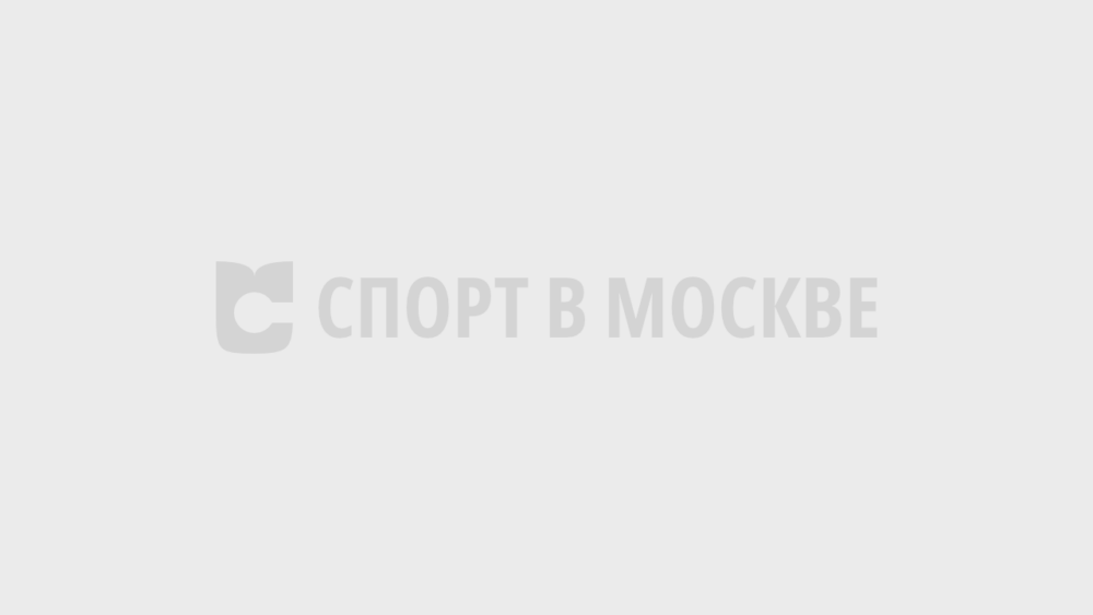 Педагогический шахматный союз проведет турнир в Большом государственном цирке — Спорт в Москве