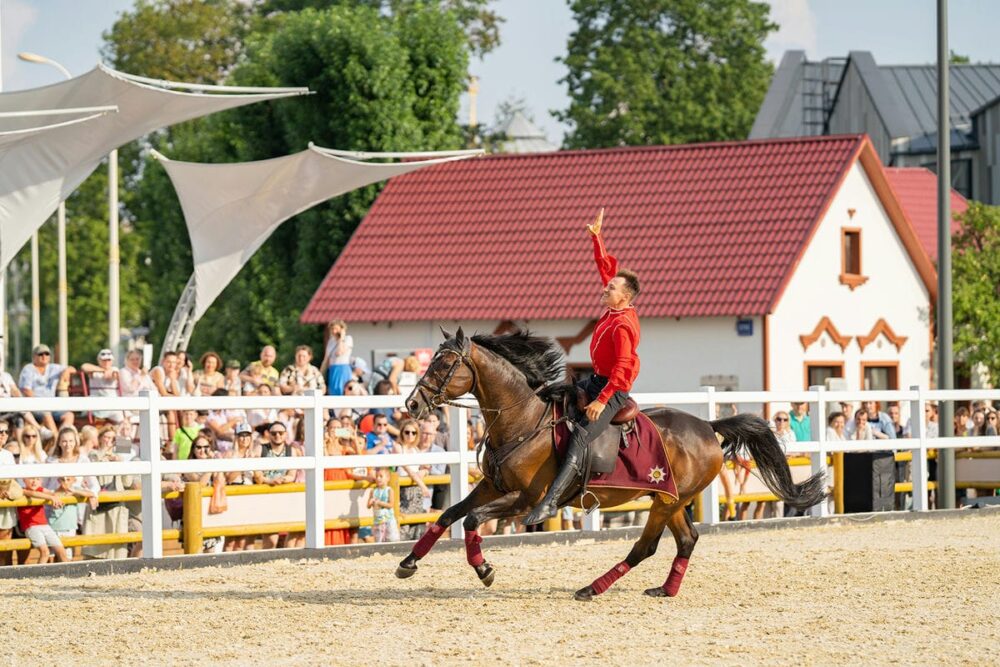 На ВДНХ пройдет финал VII Открытого московского фестиваля конного искусства и спорта