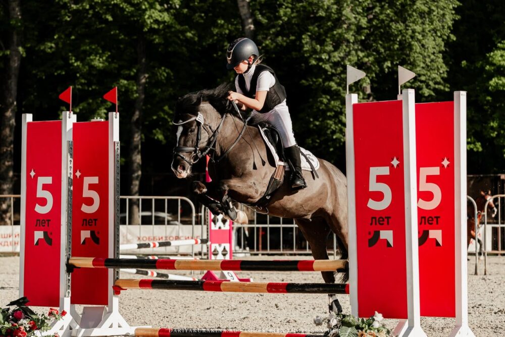 Подмосковные спортсмены примут участие во всероссийских Пони-играх — Спорт в Москве