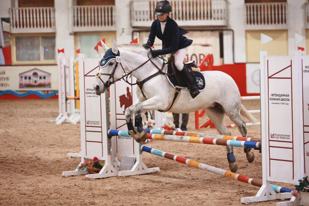 Экскурсия «В гостях у пони» 15 ноября в рамках проекта «Спортивные субботы московского школьника» — Спорт в Москве