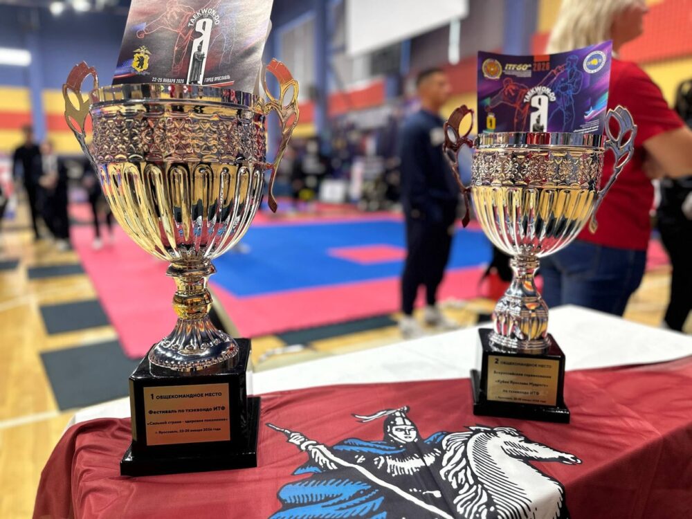 Завершился Кубок «Ярослава Мудрого» — Спорт в Москве