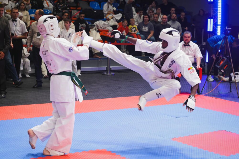 Более 300 подмосковных спортсменов выступают на «Кубке наций» по каратэ в Москве — Спорт в Москве