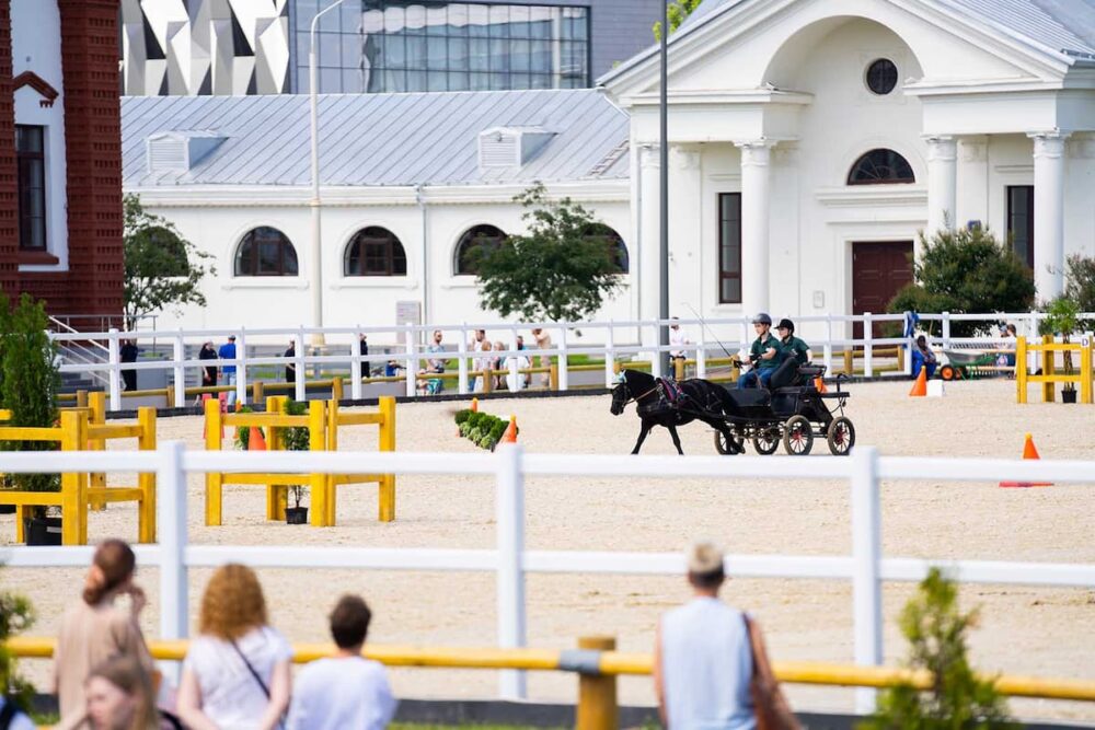 Дрессаж, марафон и паркур: на ВДНХ пройдут соревнования по конному спорту