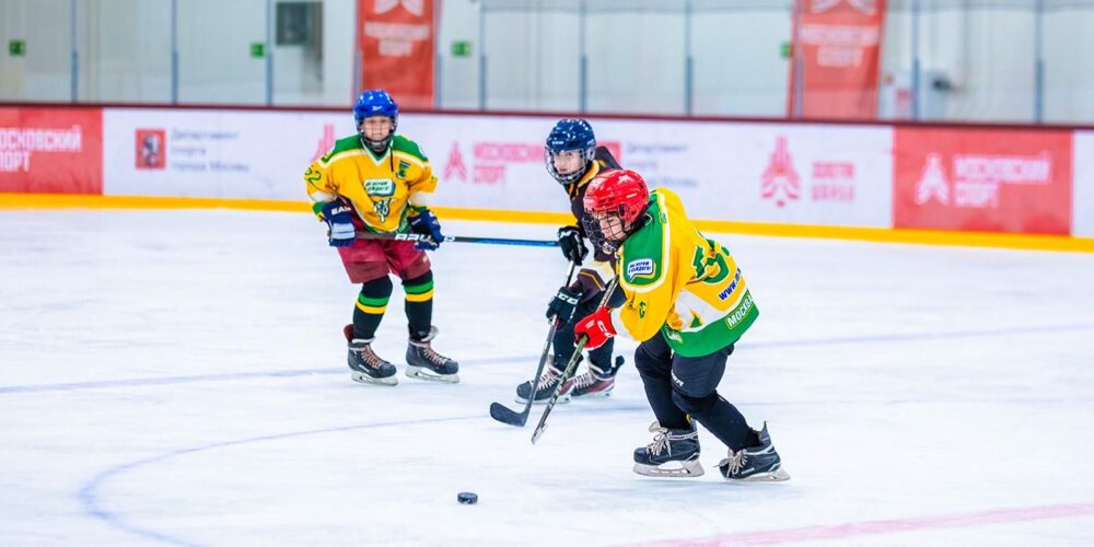 Во Дворце спорта «Янтарь» пройдет семейный фестиваль хоккея и активного образа жизни — Спорт в Москве