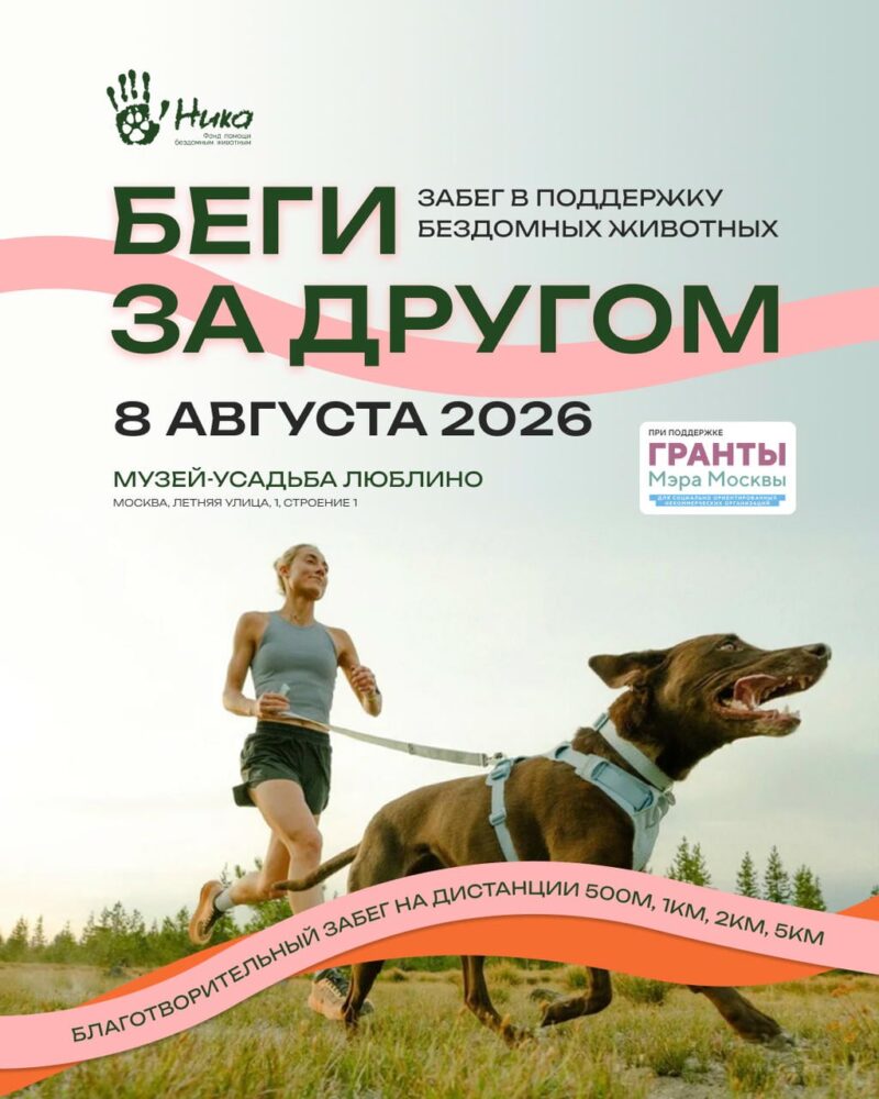 В Москве пройдет второй благотворительный забег «Беги за другом» в поддержку животных из приютов — Спорт в Москве