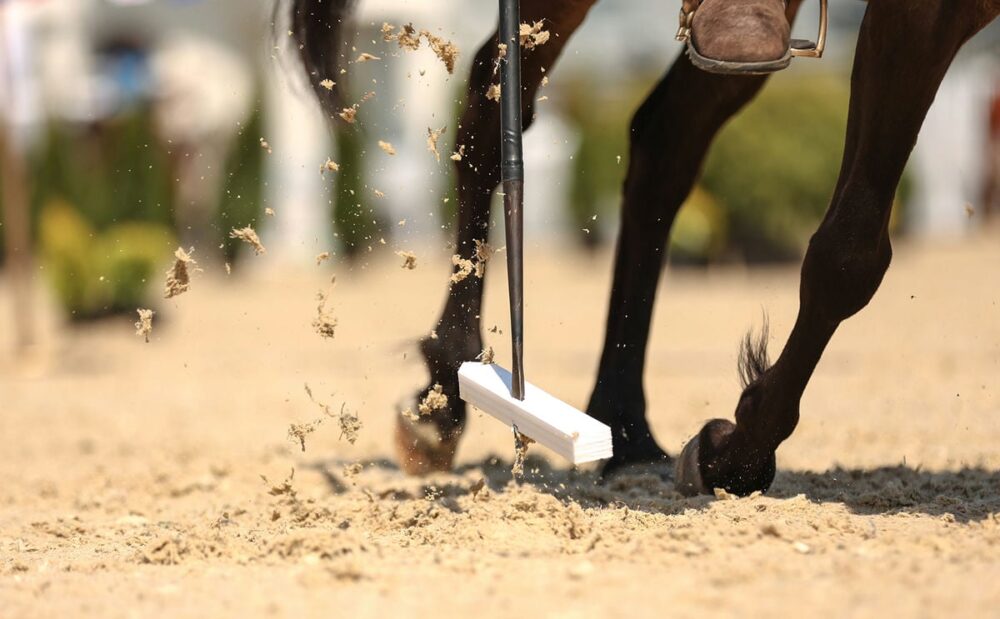Верховая езда, скорость и национальные костюмы: на ВДНХ пройдут международные соревнования по конному спорту
